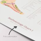Reflexology Chart Set anatomy chart for clinics Reflexology Chart Set anatomy chart for clinics