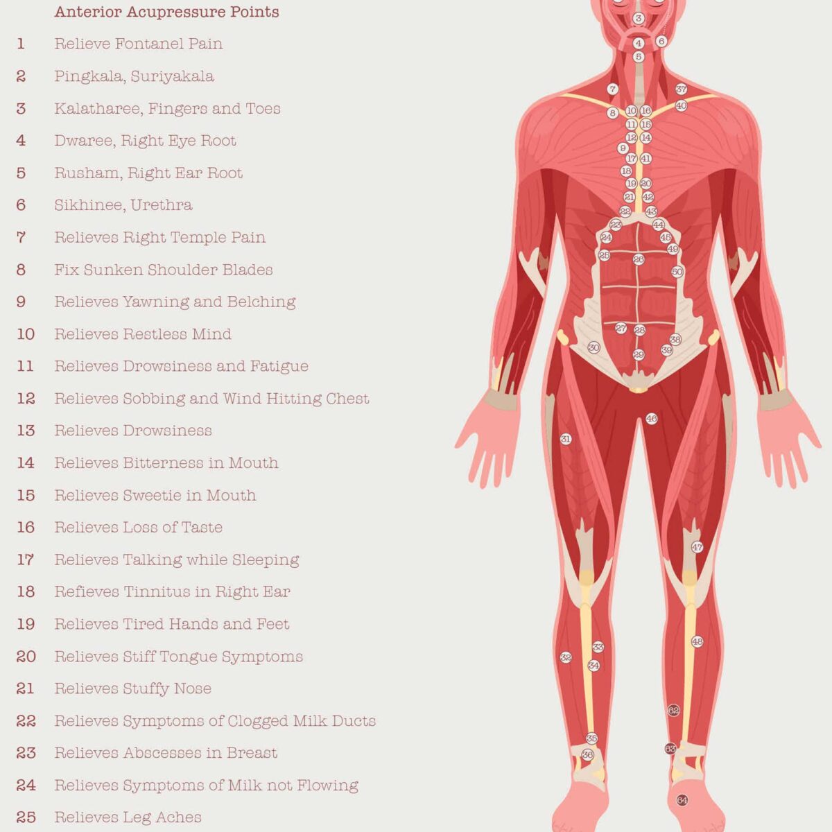 Thai Acupressure Points