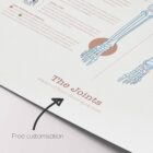 Human joint anatomy with mobility, stability and synovial joints