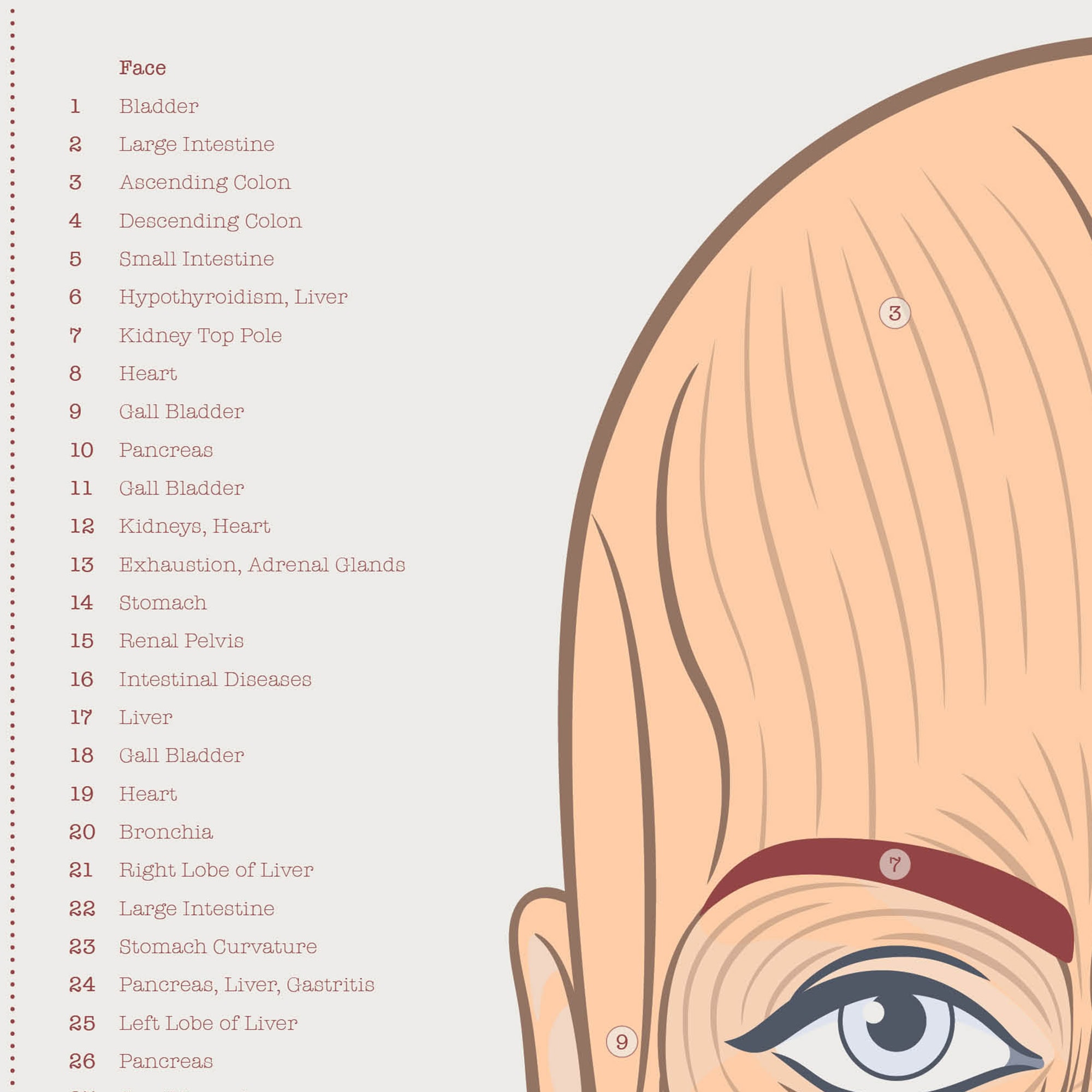 Acupuncture Chart
