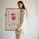 Digestive System and Gastrointestinal Tract Structure