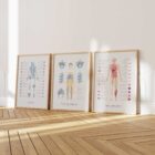 Neural Tissue & Cells; Classifications of Body Tissue and Cells