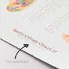 Reflexology Chart Set anatomy chart for clinics Reflexology Chart Set anatomy chart for clinics