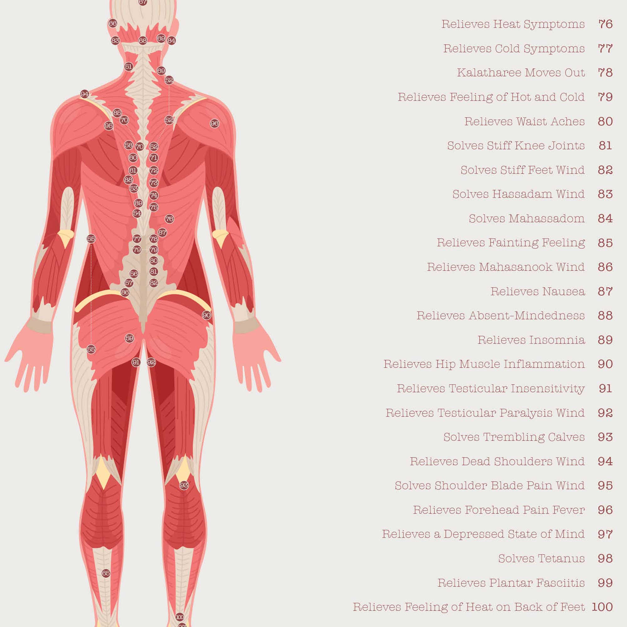 Thai Acupressure Points