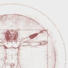 Vetruvian Amputee. Levels of amputations.