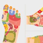 Reflexology Chart Set anatomy chart for clinics Reflexology Chart Set anatomy chart for clinics