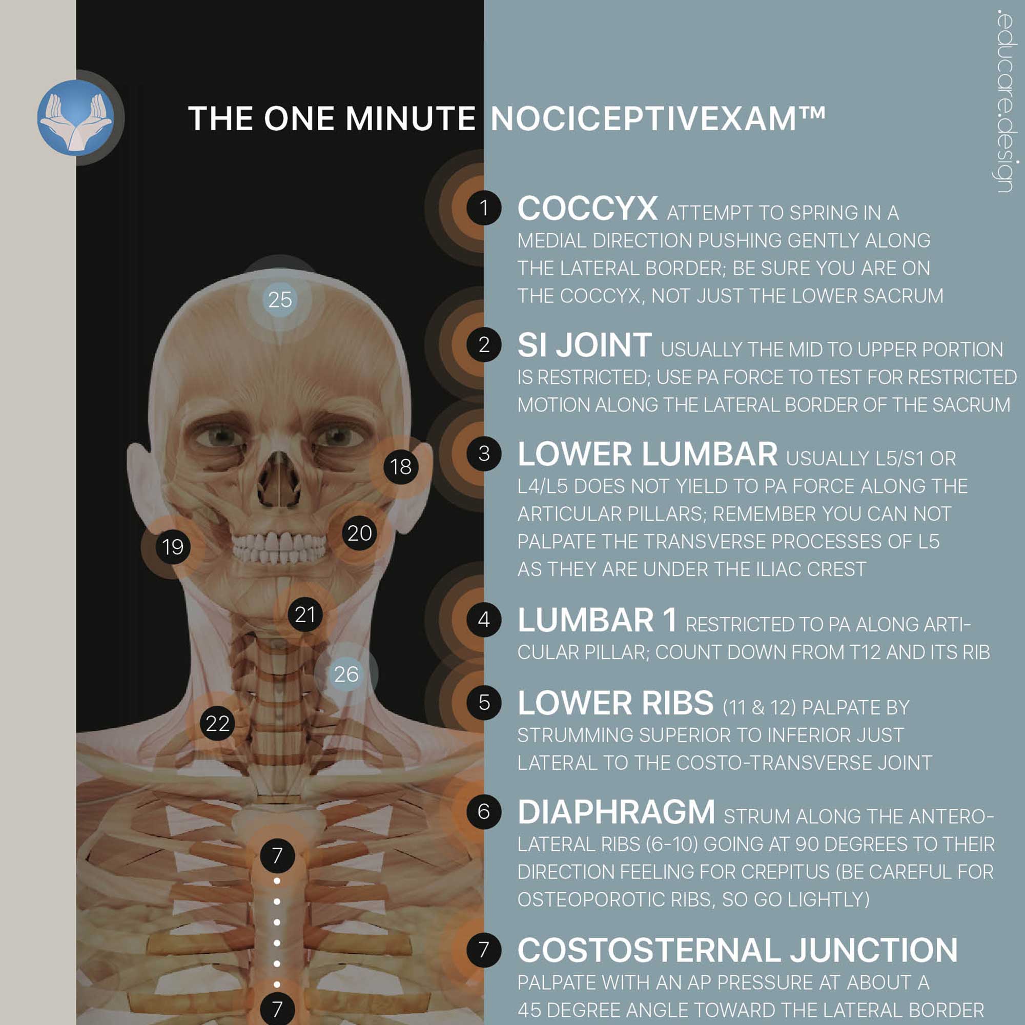 PRRT: One Minute NociceptivExam™