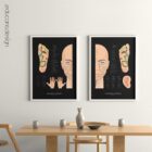 Acupuncture Chart Set, Black Edition