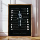 Bursitis, Arthritis, and Tendonitis – educare.design Bursitis Arthritis and Tendonitis Anatomy Chart, Black Edition