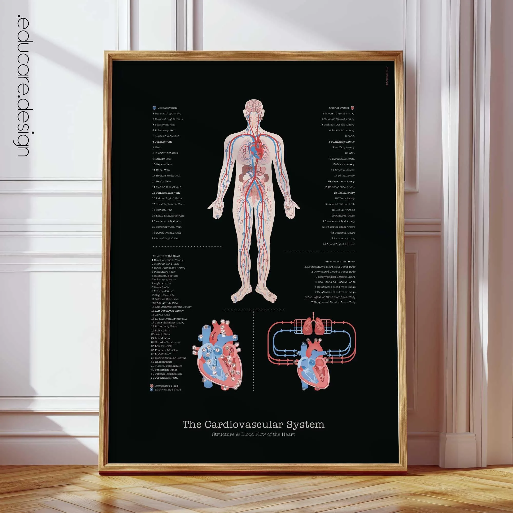 Black-Edition-Cardiovascular-System Cardiovascular System Anatomy Chart, Black Edition