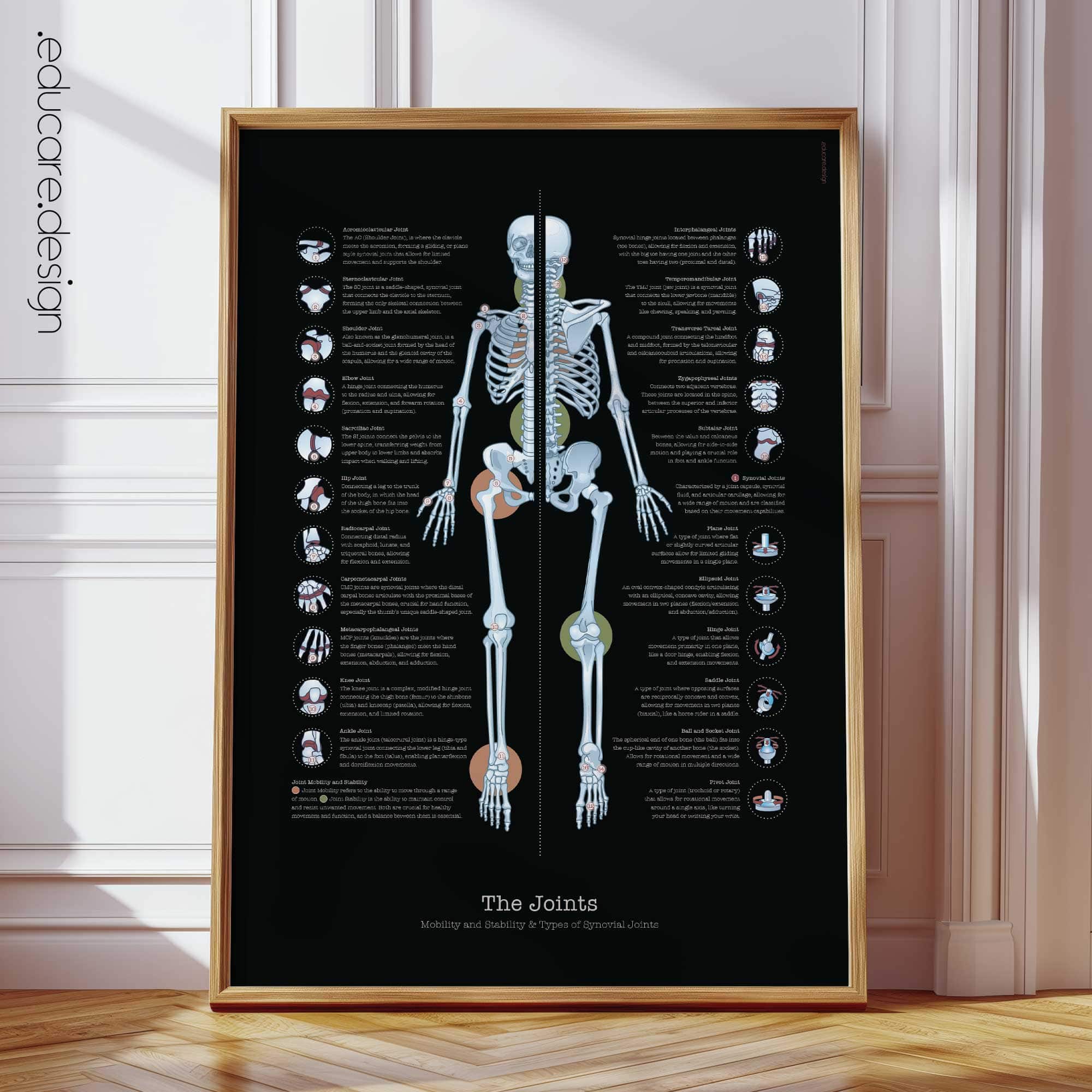 Joints Anatomy Chart, Black Edition