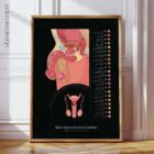 Male Reproductive System Anatomy Chart, Black Edition
