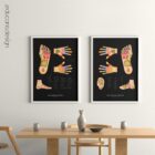 Reflexology Chart Set anatomy chart for clinics Reflexology Chart Set anatomy chart for clinics