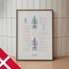 Scoliosis and Musculoskeletal Disorders – educare.design Scoliosis & Musculoskeletal Disorders