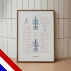 Scoliosis and Musculoskeletal Disorders – educare.design Scoliosis & Musculoskeletal Disorders