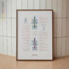 Scoliosis and Musculoskeletal Disorders – educare.design Skoliose und Muskel-Skelett-Erkrankungen