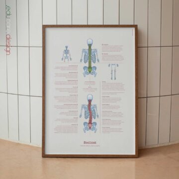 Borsite, Artrite e Tendinite tavola anatomica per studi e cliniche
