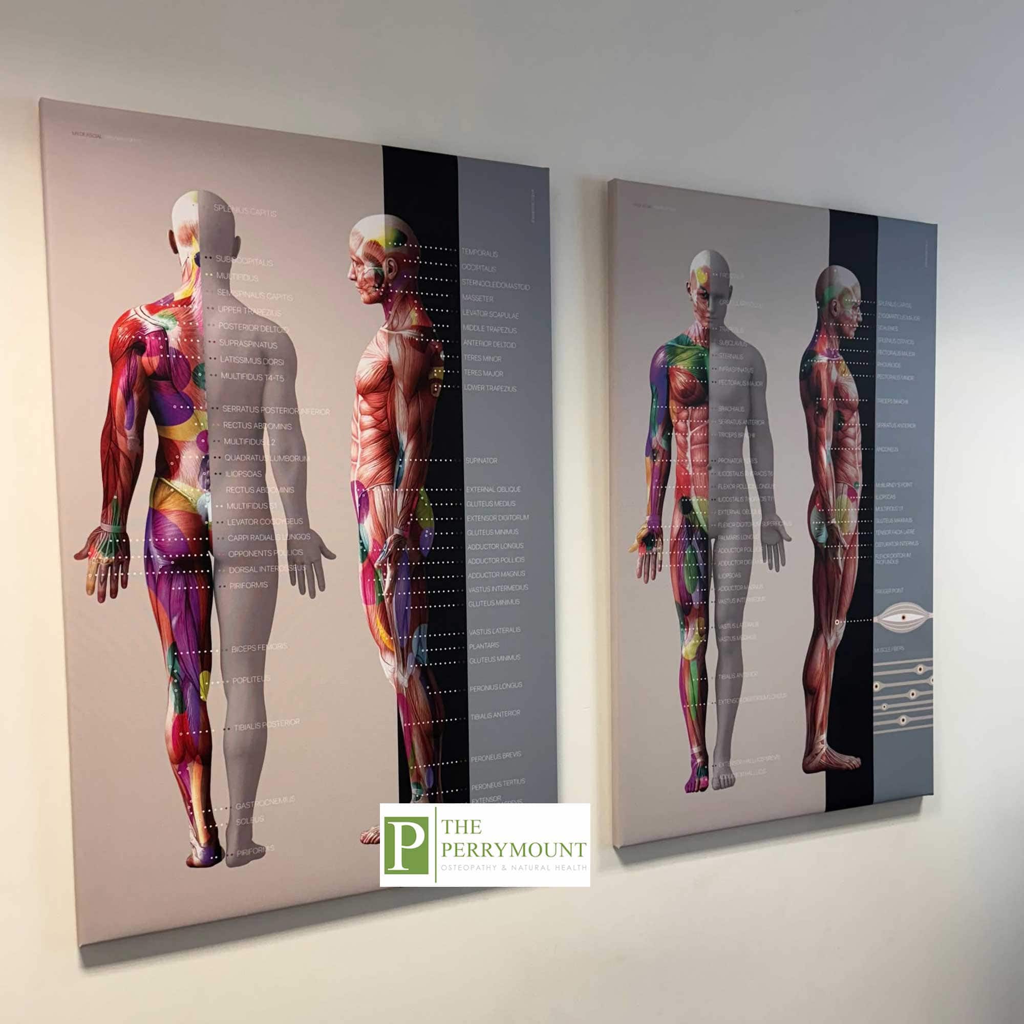 The Perrymount Clinic