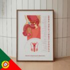 Male Reproductive System