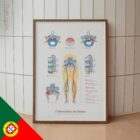 Mechanism of Sciatica – educare.design Sciatica with Stenosis, Hernia & Piriformis Syndrome