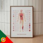 Neural Tissue & Cells; Classifications of Body Tissue and Cells