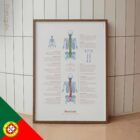 Scoliosis and Musculoskeletal Disorders – educare.design Scoliosis & Musculoskeletal Disorders