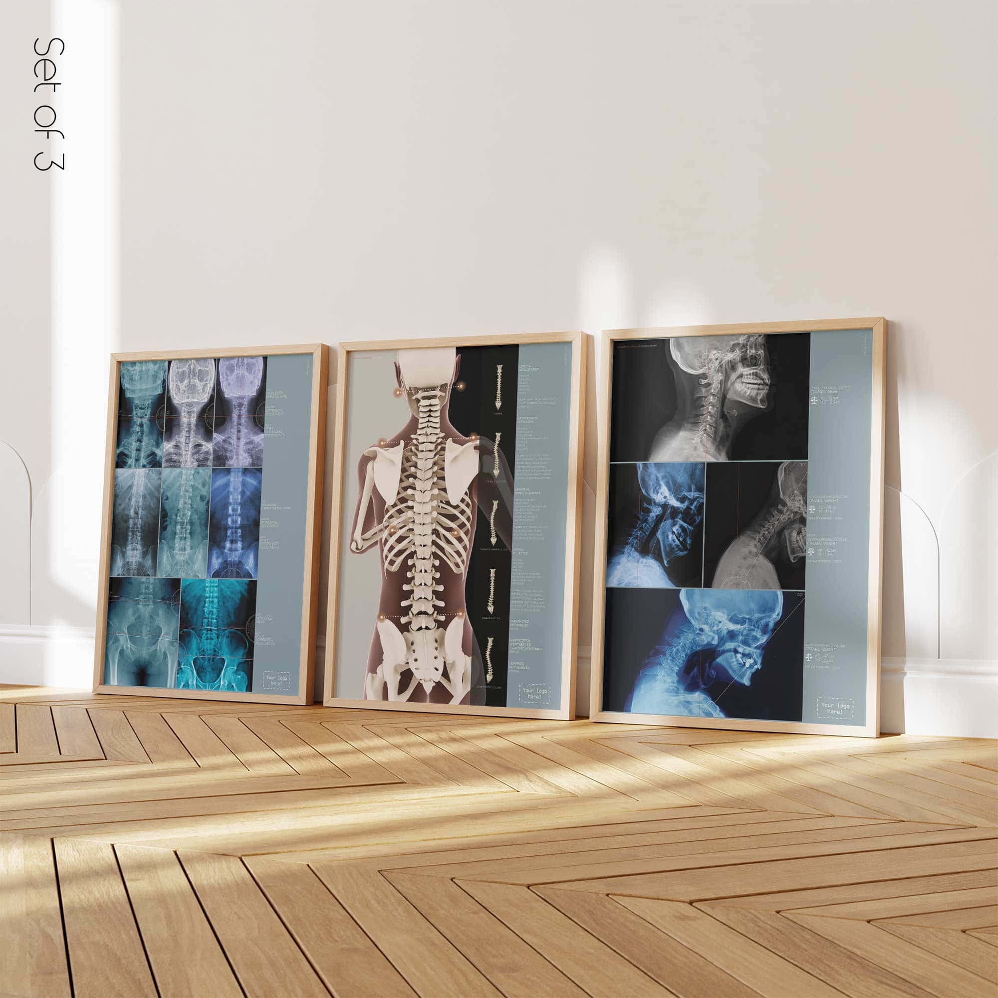 The Anatomy of a Tooth