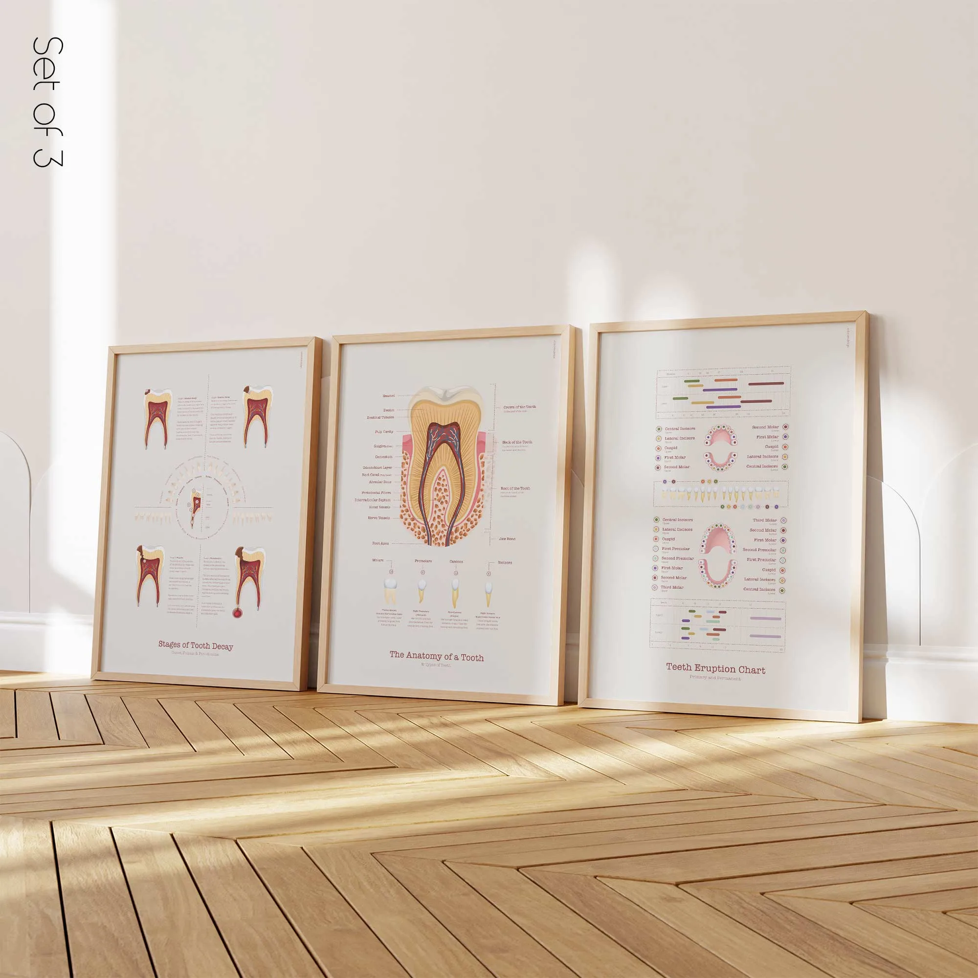 Dental Care Poster Set