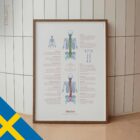 Scoliosis and Musculoskeletal Disorders – educare.design Scoliosis & Musculoskeletal Disorders