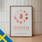 Stages of Fetal Development