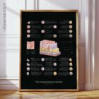 Integumentary System Anatomy Chart, Black Edition