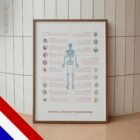 Bursitis, Arthritis, and Tendonitis – educare.design Bursitis Arthritis & Tendonitis