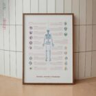 Bursitis, Arthritis, and Tendonitis – educare.design Bursitis Arthritis & Tendonitis