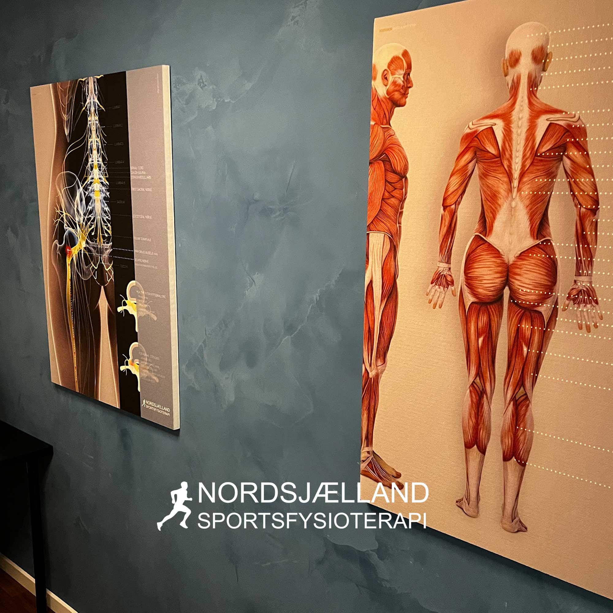 Nordsjælland Sportsfysioterapi