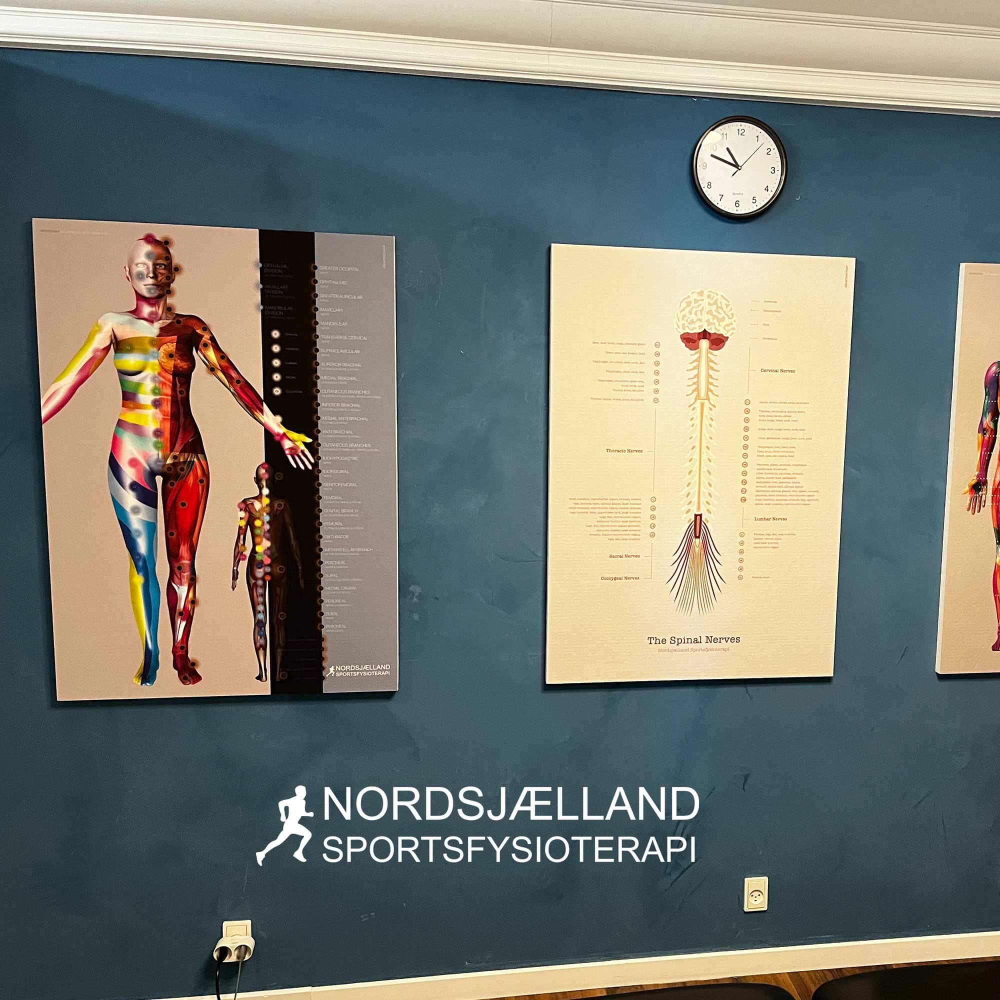 Nordsjælland Sportsfysioterapi