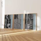 Pathology Set – educare.design Pathology Set