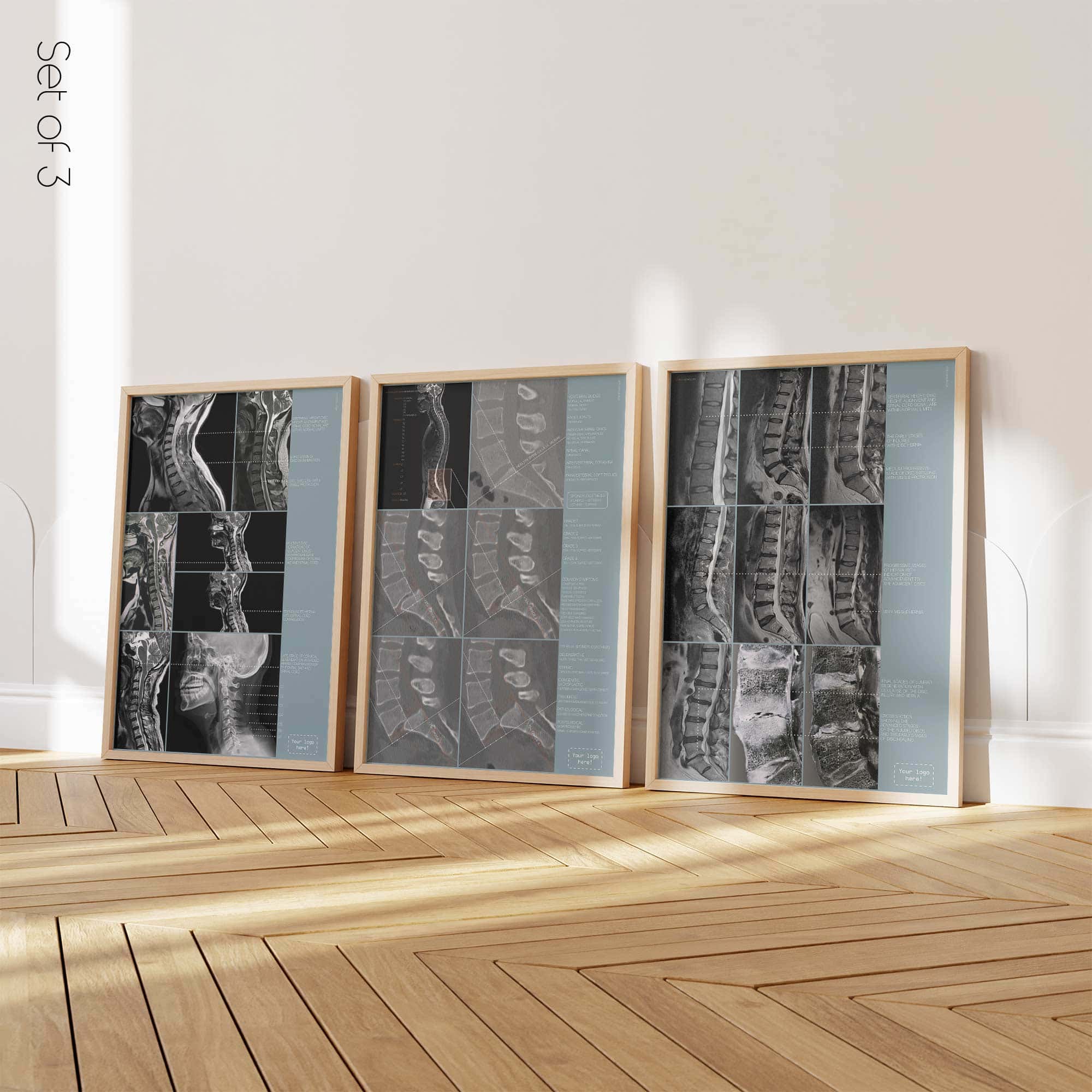 set-pathology2_02 Pathology Set