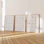Posture Set (1) anatomy chart for clinics