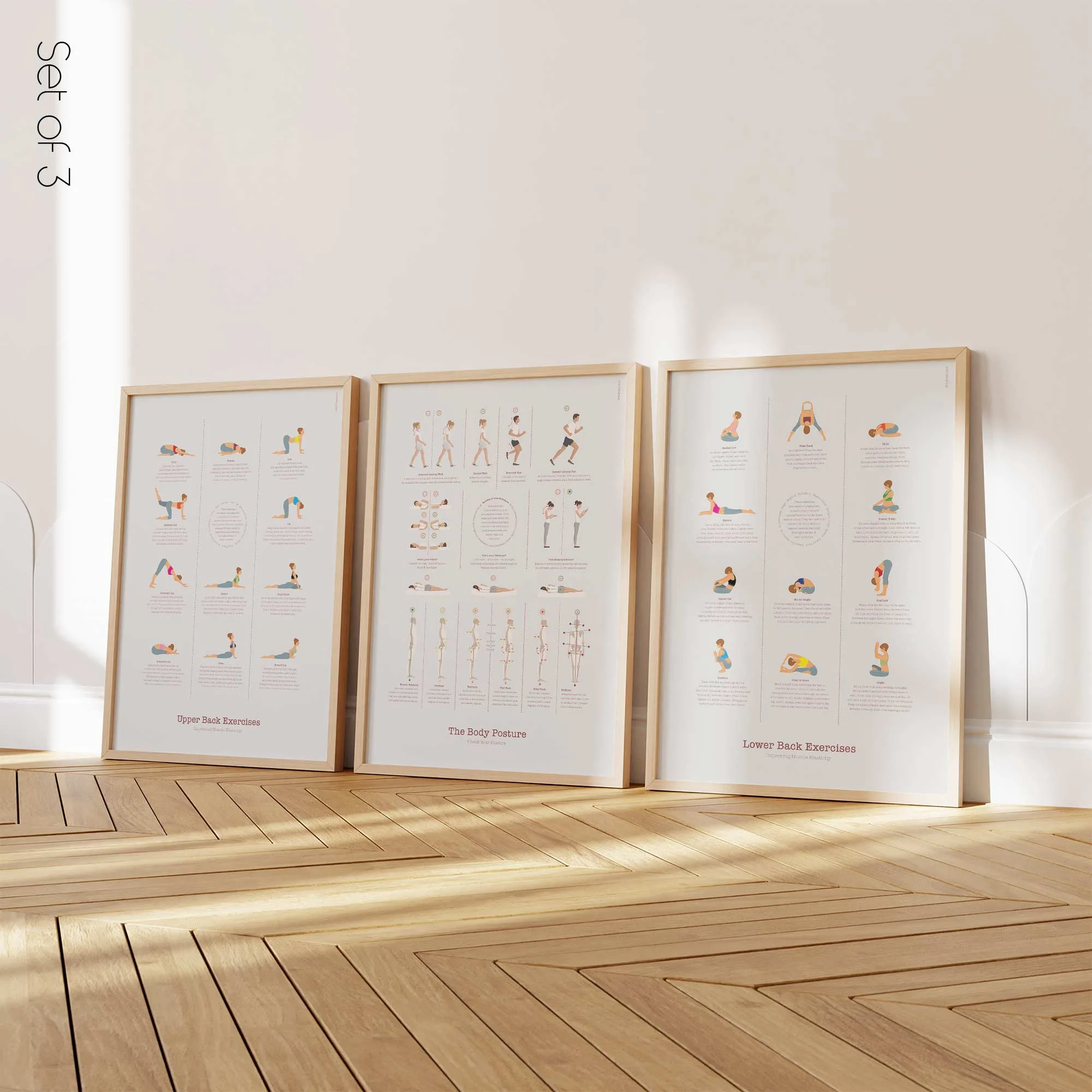 Posture Set (1) anatomy chart for clinics