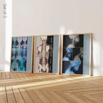 Set per la postura in vendita