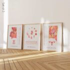 Reproductive Health Set anatomy chart for clinics