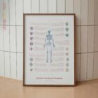 Bursitis, Arthritis, and Tendonitis – educare.design Bursitis Arthritis & Tendonitis