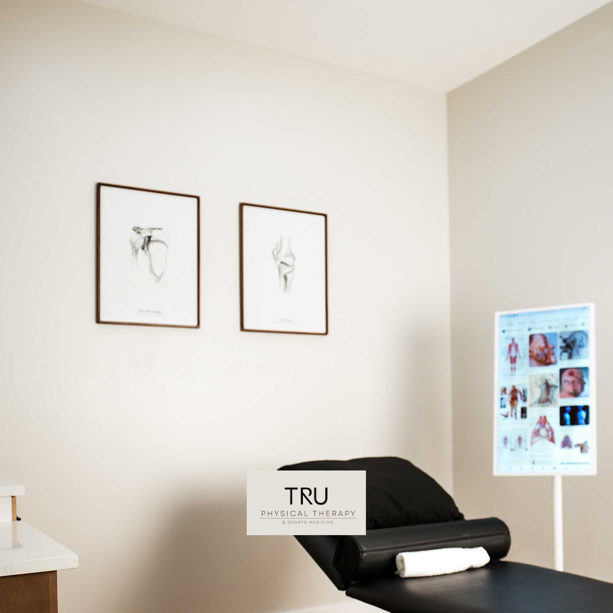 Vintage Anatomy Charts (Shoulder and Knee)