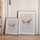 Muscle Structure and Shapes of Skeletal Muscles