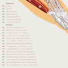 Foot, Knee and Hand Anatomy Set