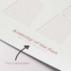 Foot, Knee and Hand Anatomy Set