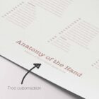 Foot, Knee and Hand Anatomy Set