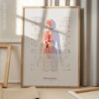 Fibromyalgia with Hormonal and Nervous System Connections anatomy chart for clinics Fibromyalgia with Hormonal and Nervous System Connections anatomy chart for clinics