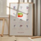 Sports Injuries anatomy chart for clinics Sports Injuries anatomy chart for clinics