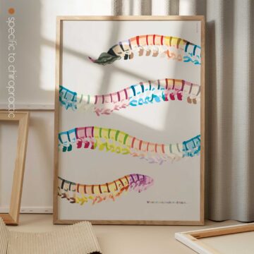 When chiropractors dream... Artwork for chiropractors from www.educare.design